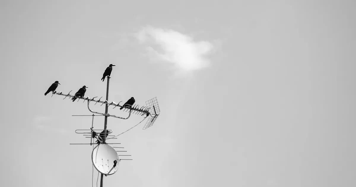 Blackbirds sit on a rooftop antenna against a backdrop of a cloudy sky, in a monochrome setting