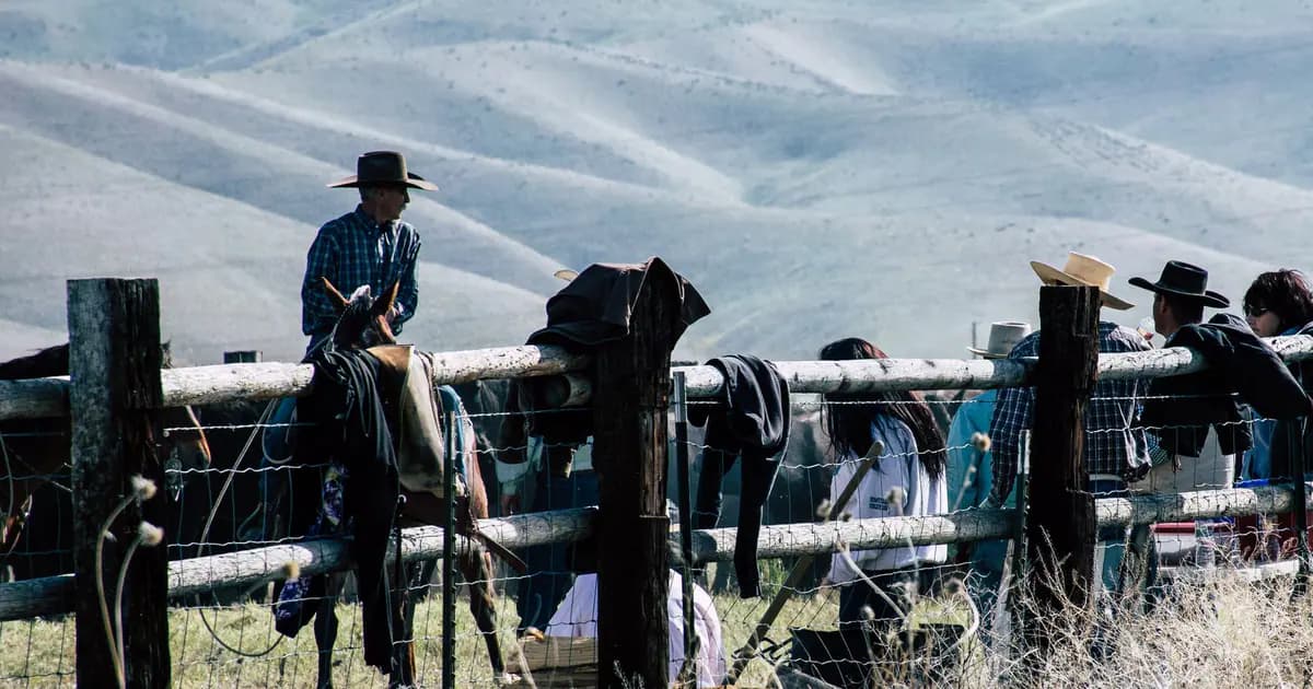 Group of cowboys and cowgirls gather at a fence under the sunny rural landscape