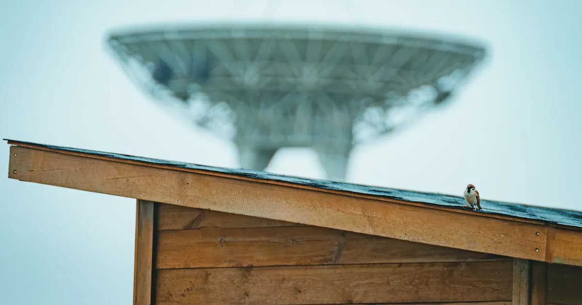 A sparrow sits on a wooden roof with a blurred satellite dish in the background, creating a contrast between nature