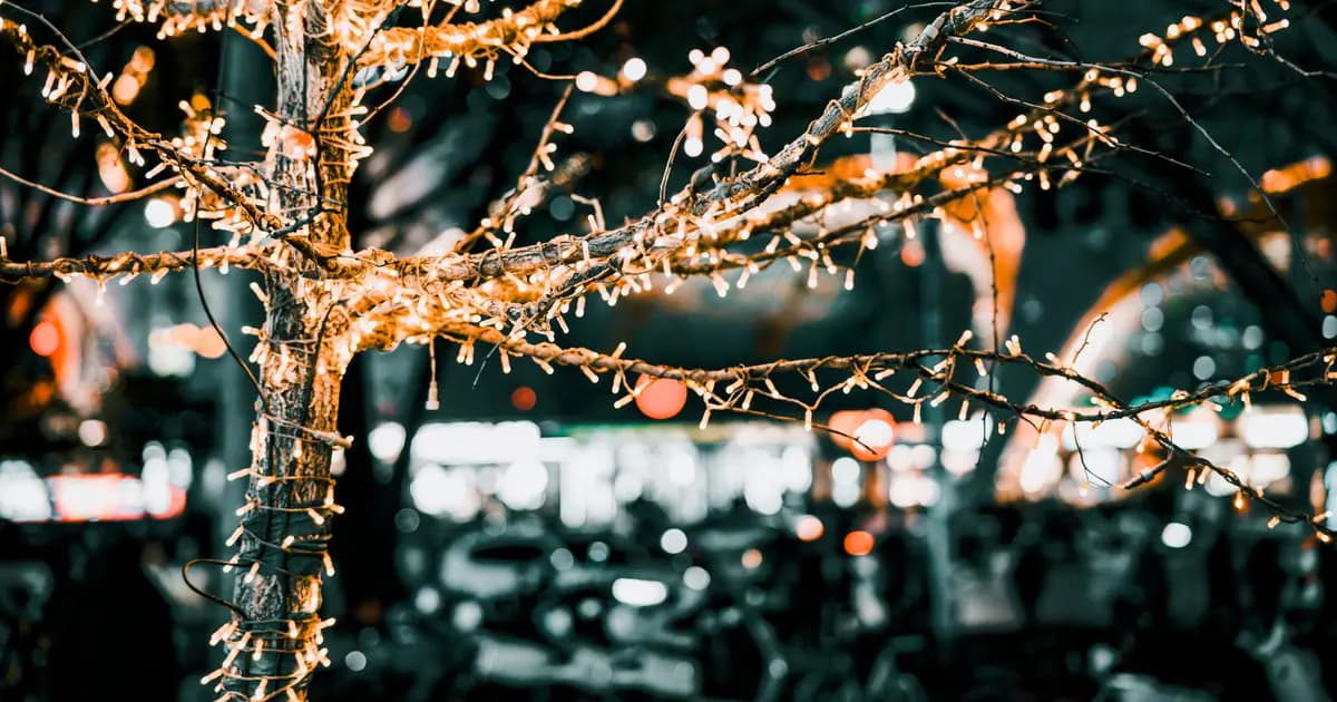 Illuminated tree decorated with string lights in a vibrant city night setting