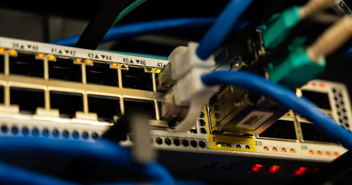 Close-up image of ethernet cables plugged into a network switch