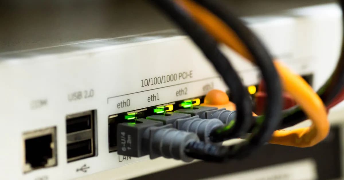 Detailed close-up of ethernet cables and network connections on a router